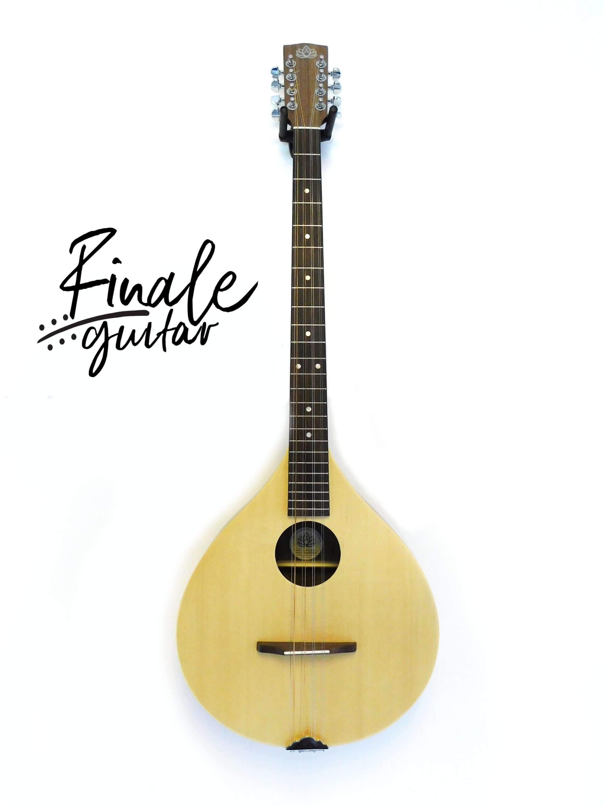 Ashbury Rathlin Irish bouzouki with padded gig bag for sale in our Sheffield guitar shop, Finale Guitar
